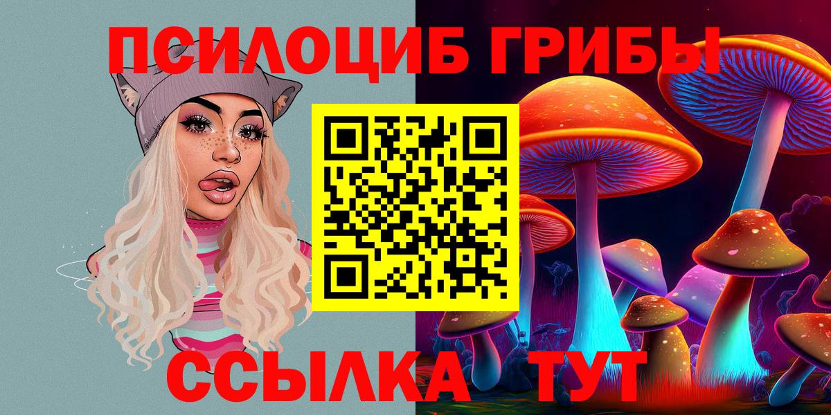 Муравленко  Псилоцибиновые грибы Psilocybe  Вход с VPN 