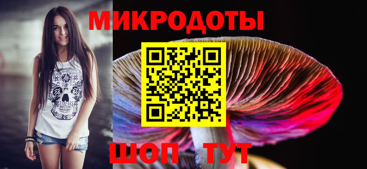 Галлюциногенные грибы Psilocybe Муравленко